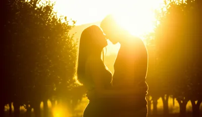 Illustration lemons - Image 1