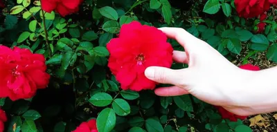 Illustration taken - Image 1