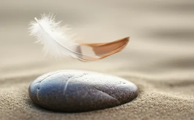 Illustration slide - Image 1