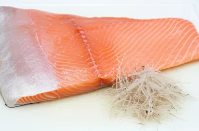 Illustration boned - Image 1