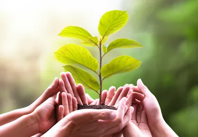 Illustration helpers - Image 1