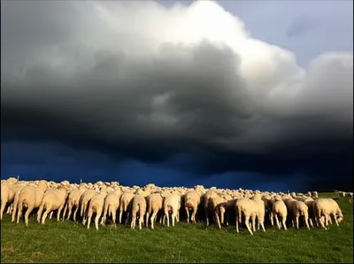 Illustration banes - Image 1