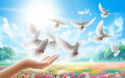 Illustration sends - Image 1