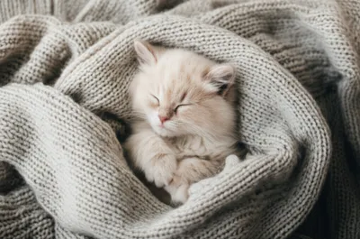 Illustration nestles - Image 1