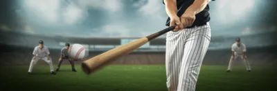 Illustration bats - Image 1