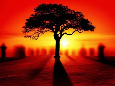 Illustration lynchings