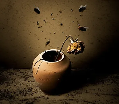 Illustration wretched - Image 1