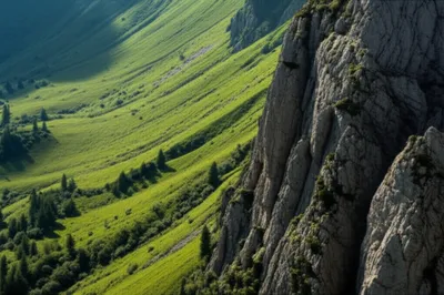 Illustration steeper