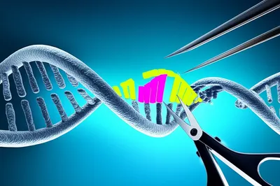 Illustration editing - Image 1