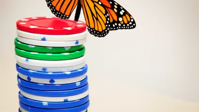 Illustration flutter - Image 1