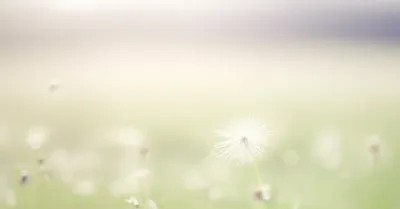 Illustration faintly - Image 1