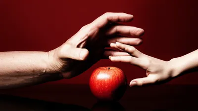 Illustration defends - Image 1