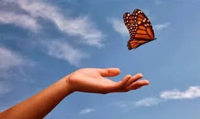 Illustration loose - Image 2