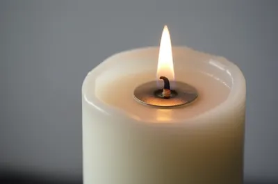 Hình ảnh minh họa follower - Ảnh 1