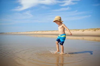 Hình ảnh minh họa paddles - Ảnh 1