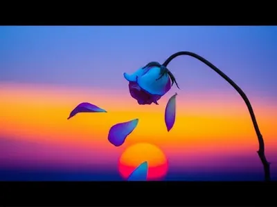 Illustration terminating - Image 1