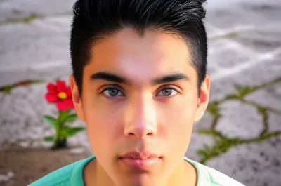 Illustration realist - Image 1