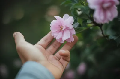 Illustration toucher