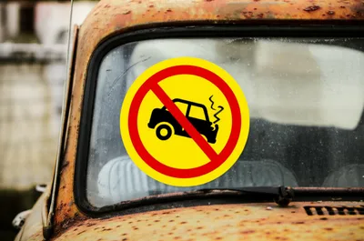 Illustration canary - Image 1