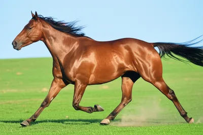 Illustration sweats - Image 1