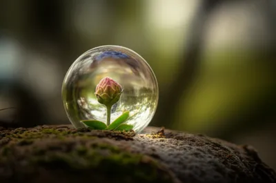 Illustration encapsulating