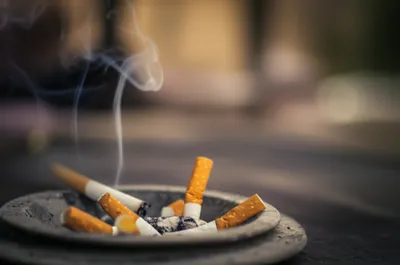 Illustration gasper - Image 1