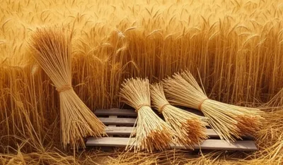 Illustration tithing - Image 1