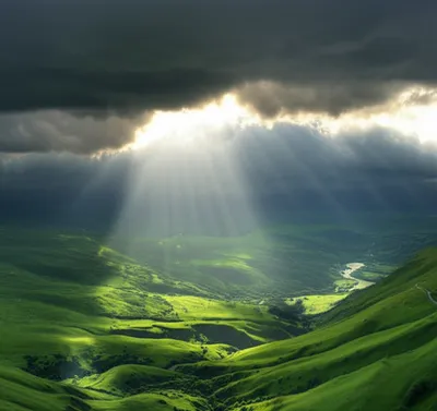 Illustration clearer - Image 1