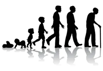 Illustration ages - Image 2