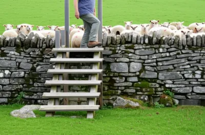 Illustration stile - Image 1