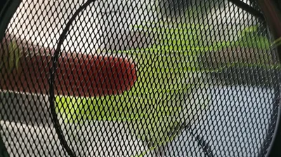 Illustration grille - Image 1