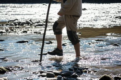 Illustration wades - Image 1