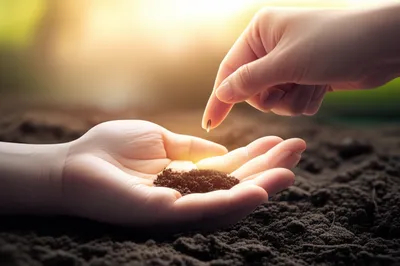 Illustration trust - Image 1