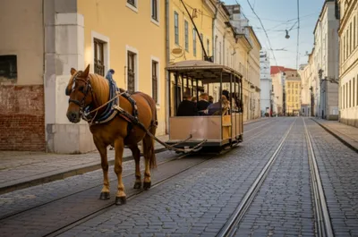 Illustration jiggers - Image 1