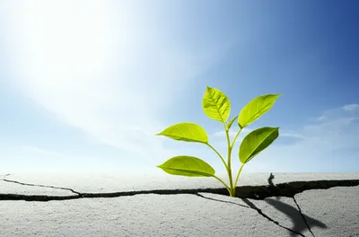 Illustration reboot - Image 1