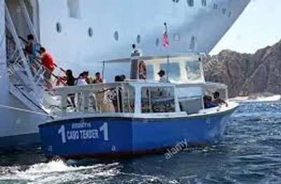 Illustration tender - Image 4