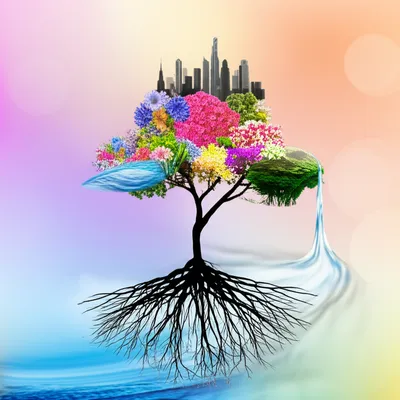 Illustration divers - Image 1