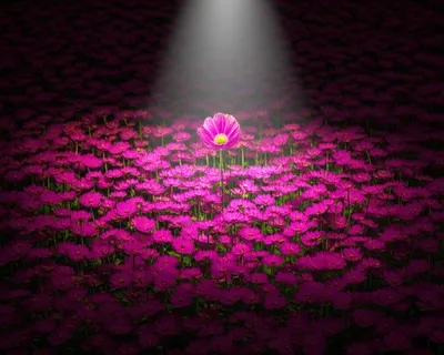 Hình ảnh minh họa specialising - Ảnh 1