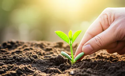 Illustration prompting - Image 1