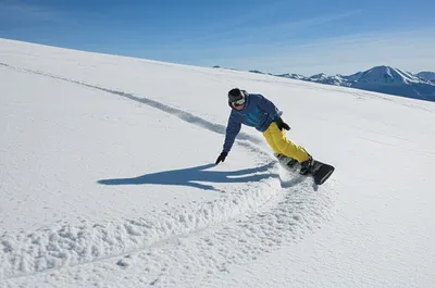 Illustration carved - Image 1