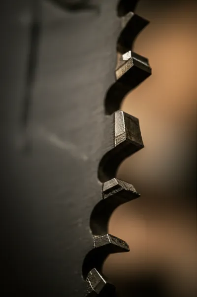 Illustration gullet - Image 1