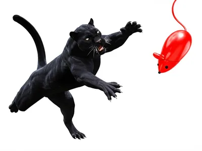 Illustration pouncing - Image 1