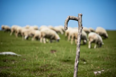 Illustration kent - Image 1