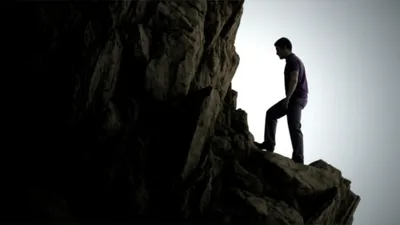 Illustration quail - Image 1