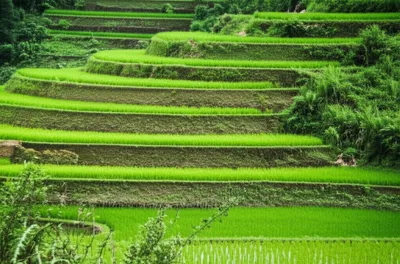 Illustration terrace - Image 1