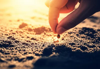 Illustration posits - Image 1