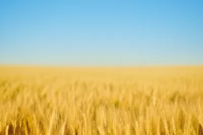 Illustration merge - Image 1