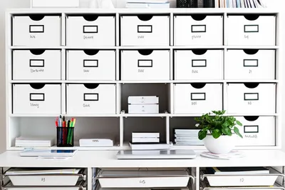 Illustration organised