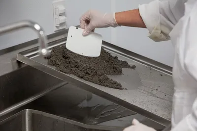 Illustration scrapings - Image 2