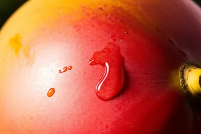 Illustration ripest - Image 1